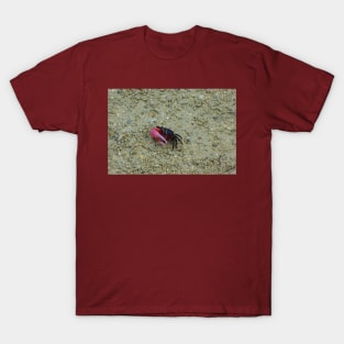 Cute Fiddler Crab T-Shirt